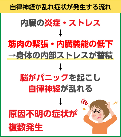 自律神経の乱れから不調へ